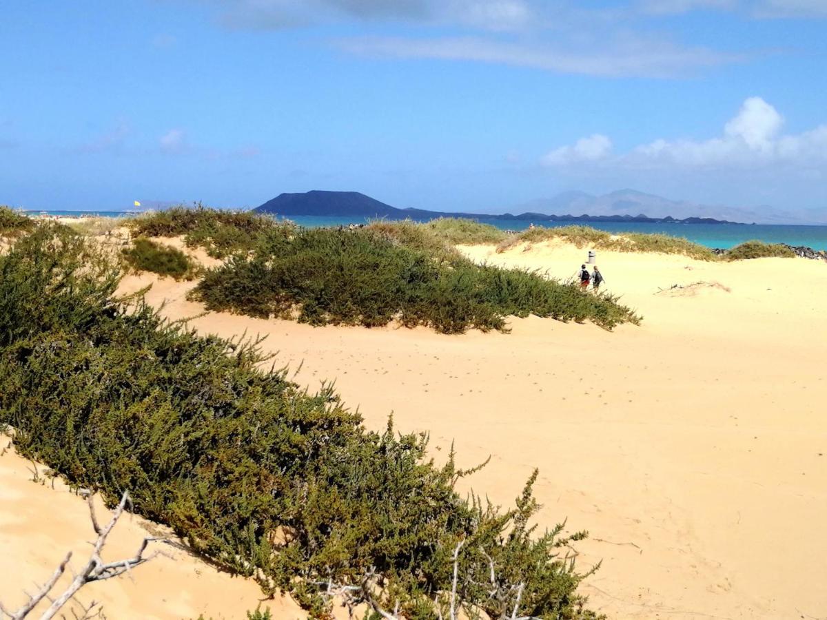 Avatea Lägenhet Corralejo Exteriör bild